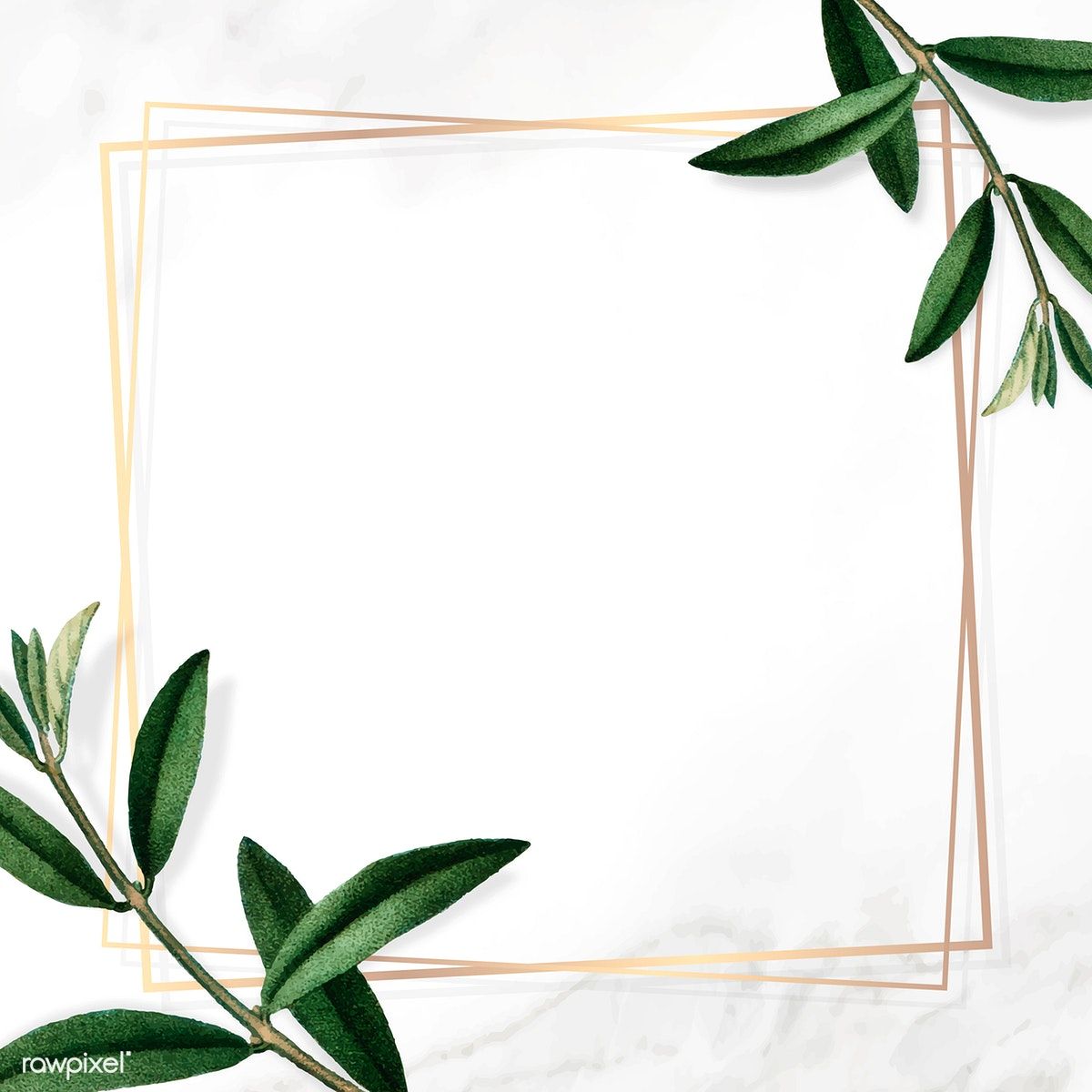 White Background With Leaves