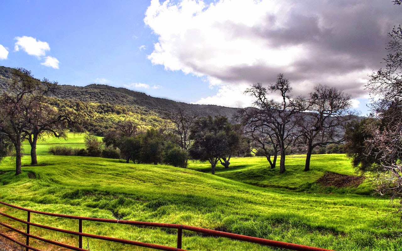 Windows 10 Landscape Backgrounds