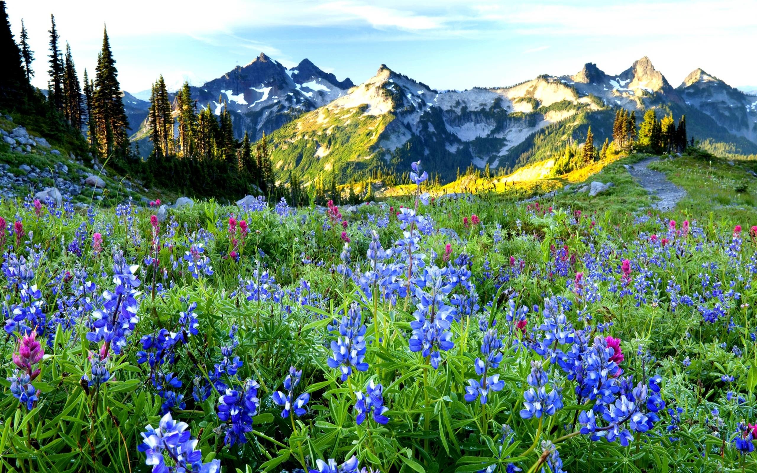 Windows 10 Landscape Backgrounds