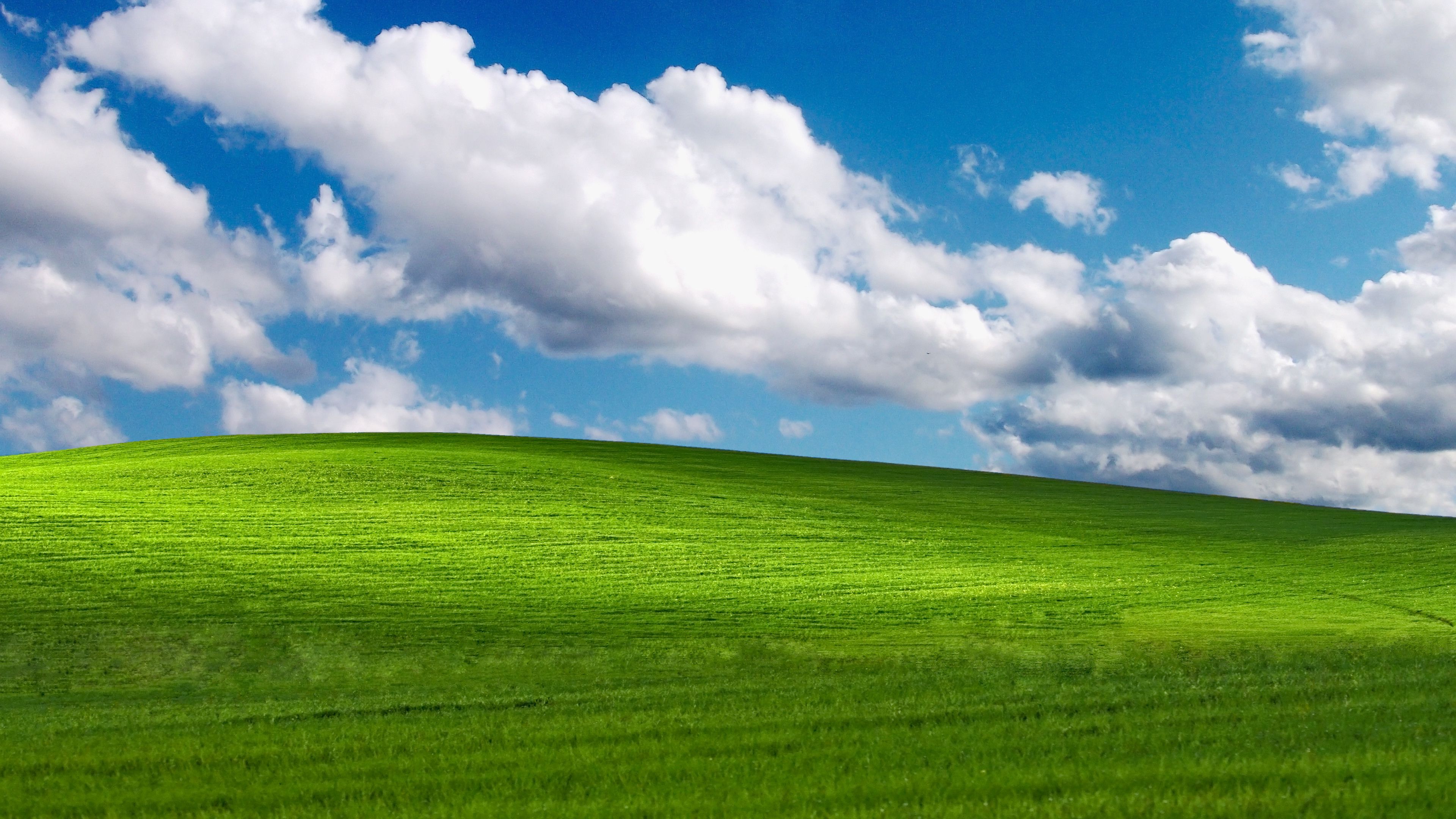 Windows Xp Background