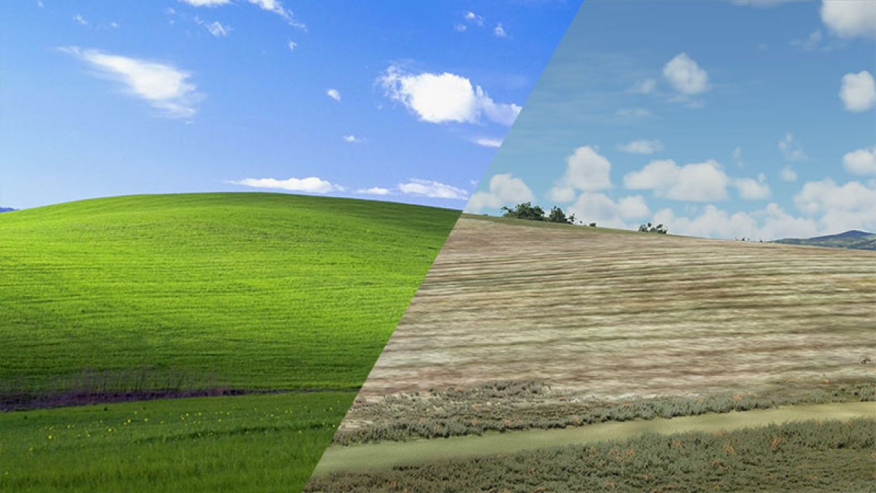 Фото из windows xp