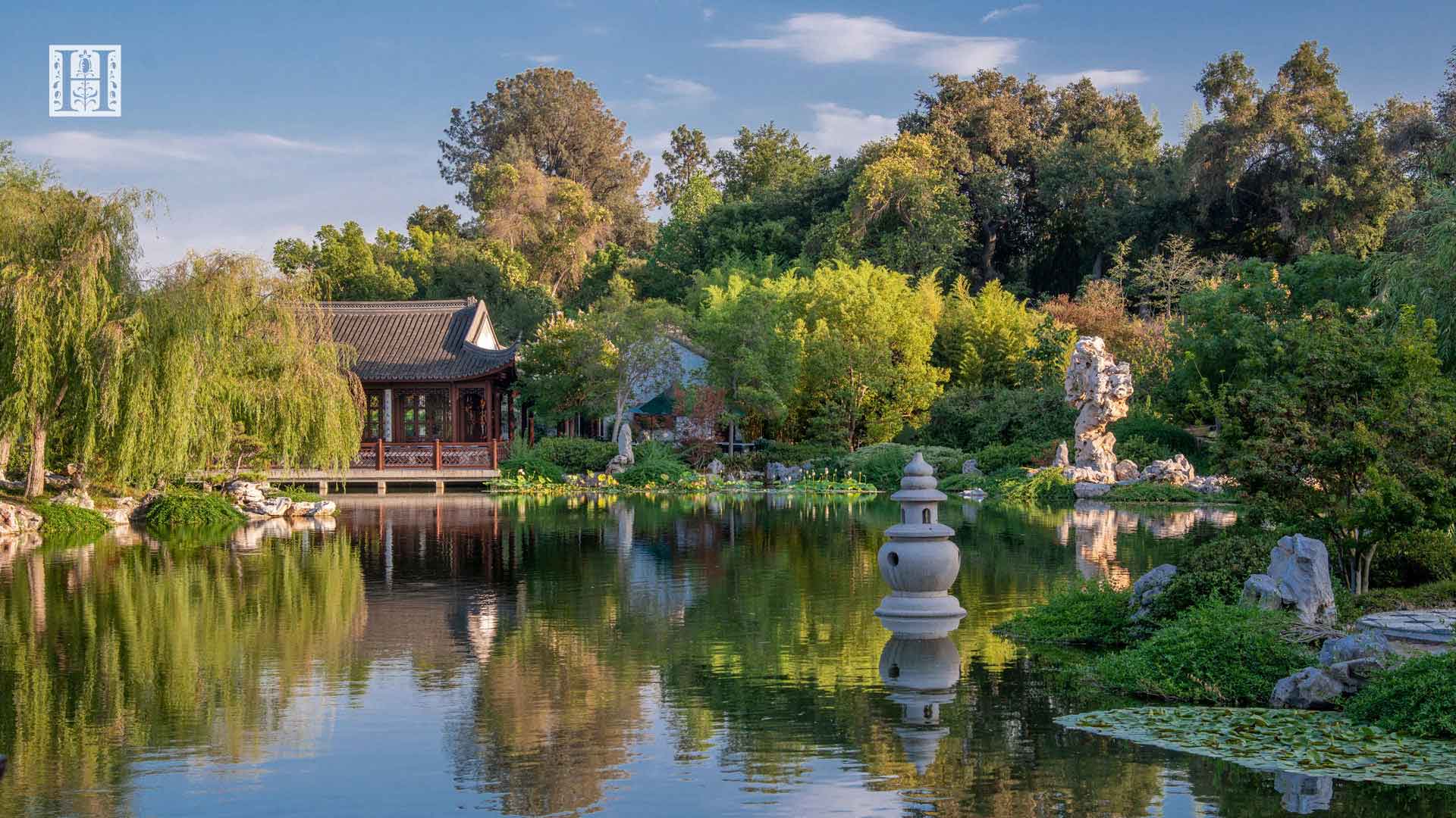 Zen Garden Zoom Background