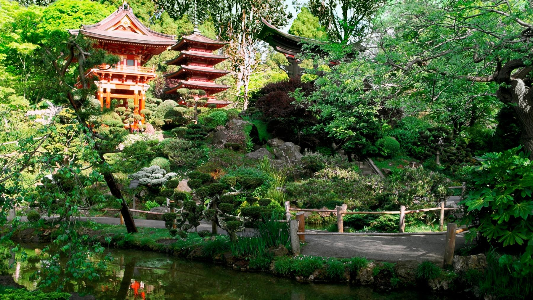 Zen Garden Zoom Background