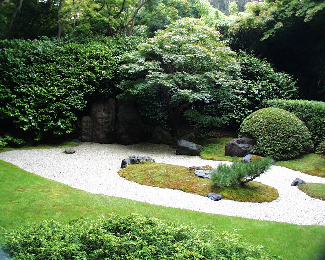 Zen Garden Zoom Background