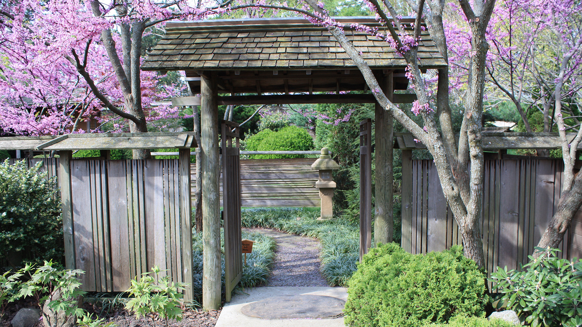 Zen Garden Zoom Background