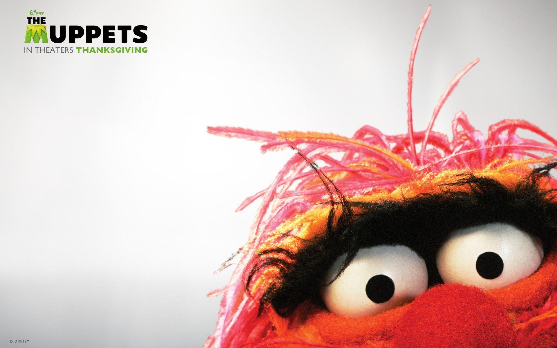 Animal Muppets Wallpapers