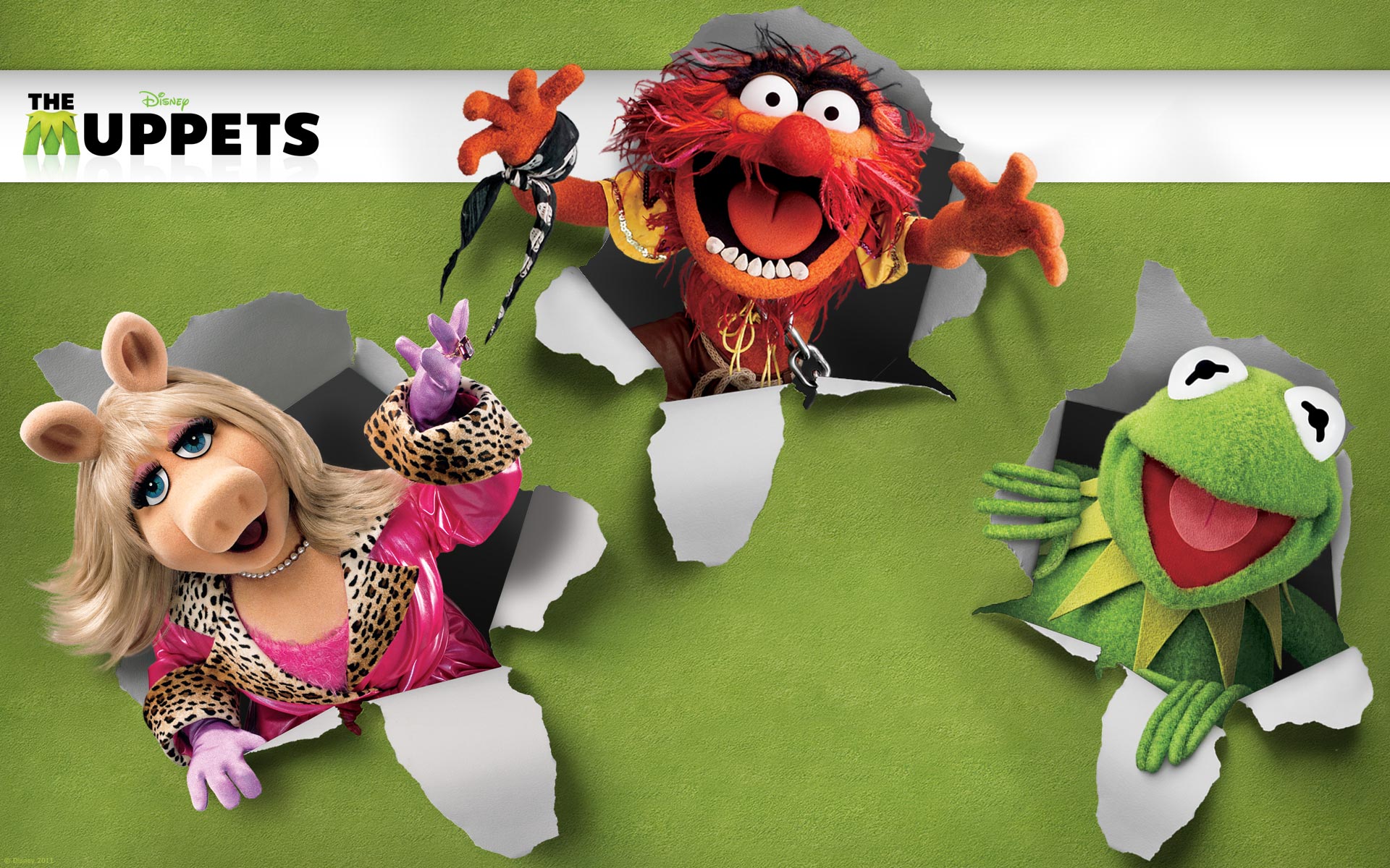 Animal Muppets Wallpapers