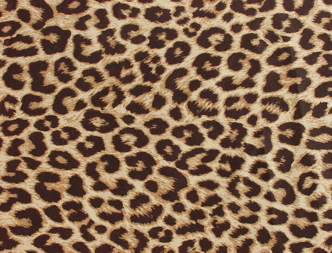 Animal Print Wallpapers